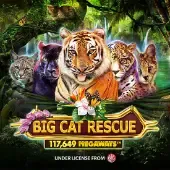 Big Cat Rescue Megaways game thumbnail