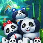 Panda game thumbnail